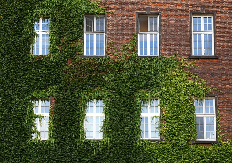 Windows of old house