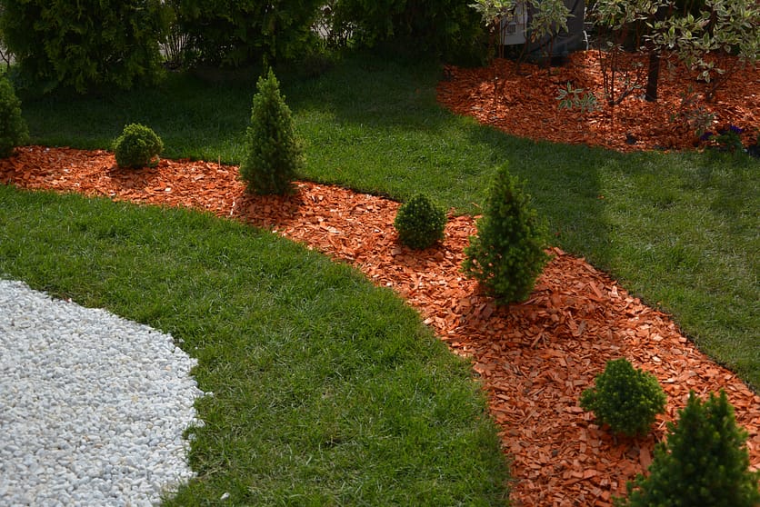 Guide to Mulch Colors and Types for a Stunning Garden