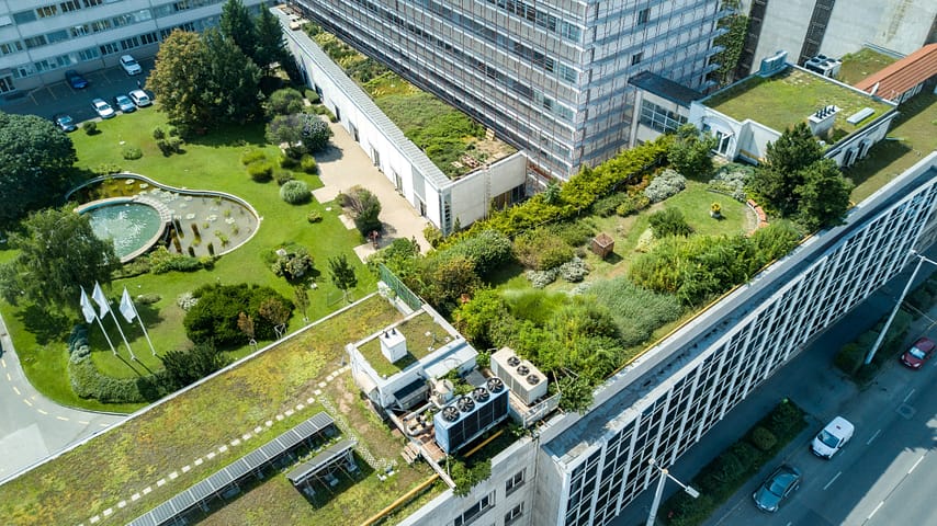 Urban green rooftop garden with trees