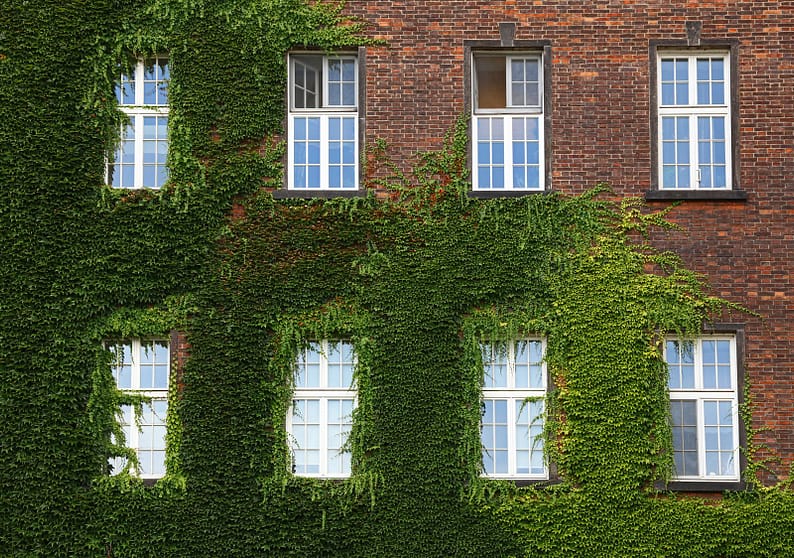 Windows of old house